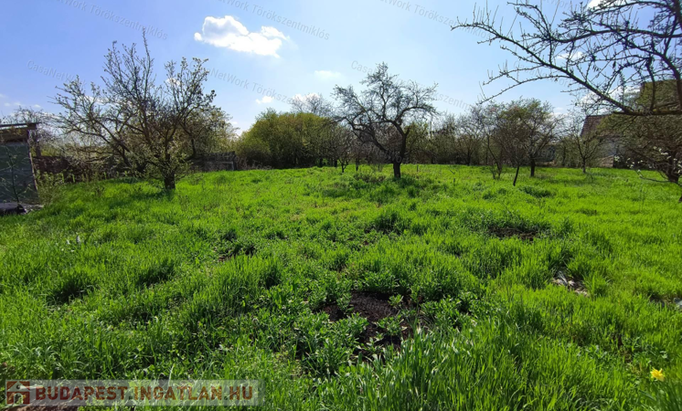 Eladó zártkert Törökszentmiklóson a Szolnoki úton!                                 
