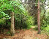 Eladó telek/földterület Budakeszi 300 000 000 Ft