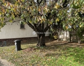 Eladó családi ház Zalaegerszeg 60 000 000 Ft