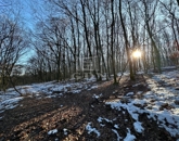 Eladó telek/földterület Kismaros 5 500 000 Ft