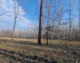 Eladó szántó Cegléden, az Ugyeri dűlőben