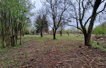 Eladó telek/földterület