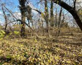 Eladó telek/földterület Dömsöd 11 600 000 Ft