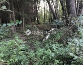 Eladó telek/földterület Bagod 12 490 000 Ft