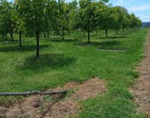 Eladó családi ház Garabonc 42 000 000 Ft