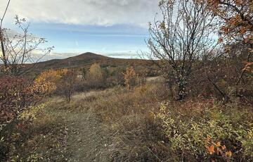Eladó telek/földterület
