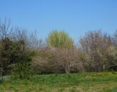 Eladó telek/földterület Gyenesdiás 69 900 000 Ft