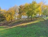 Eladó családi ház Zalaszentmihály 34 900 000 Ft