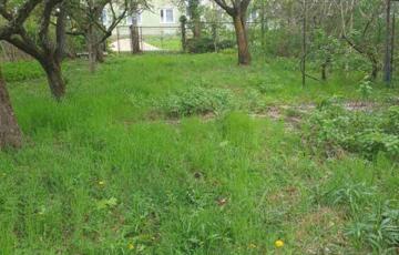 Eladó telek/földterület