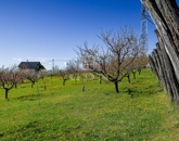 Eladó telek/földterület Edelény 13 500 000 Ft