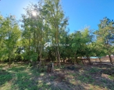 Eladó családi ház Kásád 44 900 000 Ft