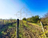 Eladó családi ház Előszállás 15 000 000 Ft