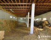 Eladó ipari ingatlan Bugyi 39 900 000 Ft