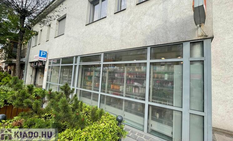 A város szívében kiadó                                 