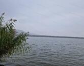 Markazon, a tóparton,  65 nm-es, 2 szobás, hétvégi házas nyaraló eladó