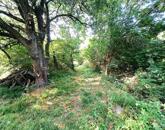 Tóparti halász telek