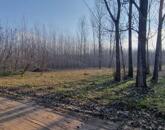 Eladó szántó Cegléden, az Ugyeri dűlőben