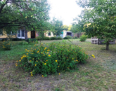 Eladó telek/földterület Dunaharaszti 49 990 000 Ft