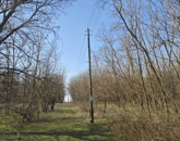 Eladó telek/földterület Lajosmizse 22 000 000 Ft