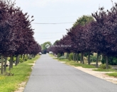 Eladó vendéglátó egység Nagylengyel 44 900 000 Ft