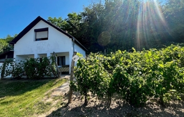 Eladó üdülő/nyaraló