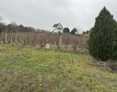 Eladó telek/földterület Pécs 30 000 000 Ft