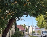 Eladó lakás Pécs 27 900 000 Ft