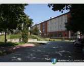 Kiadó iroda/üzlethelyiség Debrecen 80 000 Ft