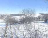 Eladó telek/földterület Ságvár 7 500 000 Ft