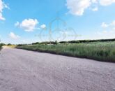 Eladó telek/földterület Vecsés 527 000 000 Ft