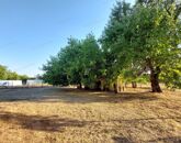 Eladó ipari ingatlan Domaszék 24 800 000 Ft