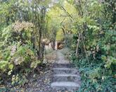 Eladó telek/földterület Solymár 69 900 000 Ft