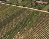 Táj-Panorámás beépíthető szőlős telek ELADÓ