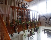 Eladó családi ház Barcs 49 900 000 Ft