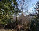 Eladó telek/földterület Budakeszi 29 900 000 Ft