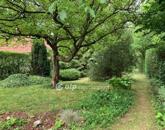 Eladó üdülő/nyaraló Solymár 64 900 000 Ft