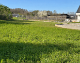 Eladó családi ház Alsópáhok 109 000 000 Ft