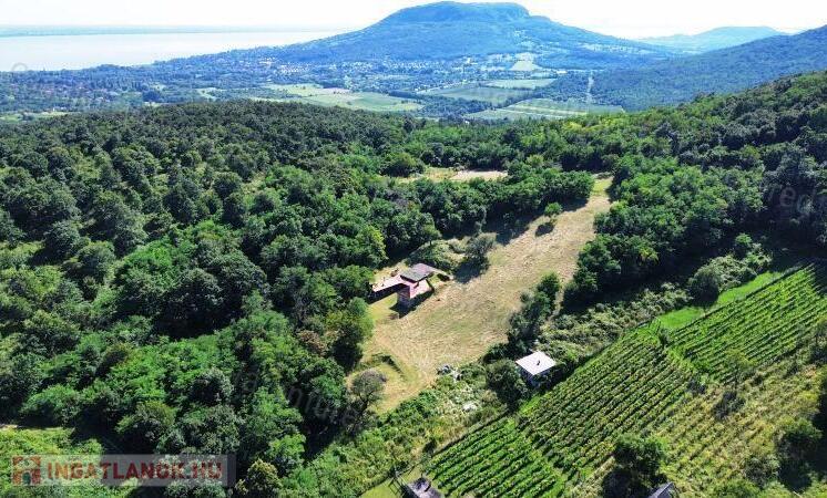 Nagyméretű épülettel, erdőszéli GAZDASÁGI ÉPÜLET KÁPTALANTÓTIBAN