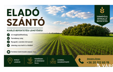 Eladó telek/földterület