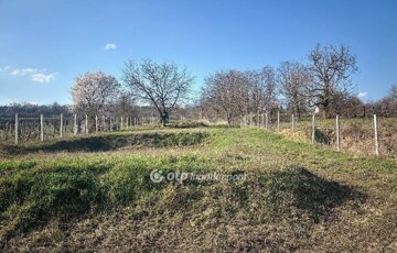 Eladó telek/földterület