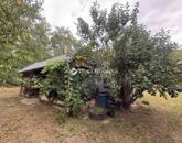 Eladó családi ház Görcsöny 12 500 000 Ft