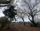 Eladó családi ház Pécs 44 000 000 Ft