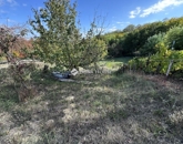 Eladó családi ház Kökény 14 900 000 Ft