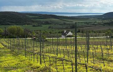 Eladó telek/földterület