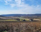Táj-Panorámás beépíthető szőlős telek ELADÓ