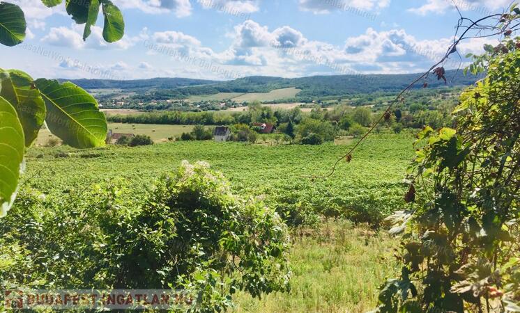 Legyél Birtokos Szőlész-Borász !!                                 