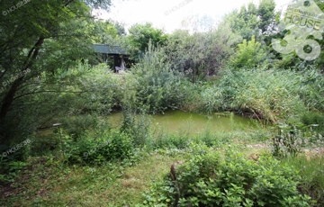 Eladó telek/földterület