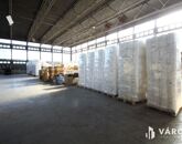 Kiadó ipari ingatlan Hódmezővásárhely 427 000 Ft