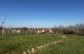 Eladó telek/földterület