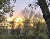 Eladó Fegyvernek 2+1 félszobás vízpart közeli családi ház